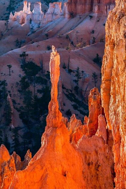 Świecący Hoodoo w Bryce Canyon