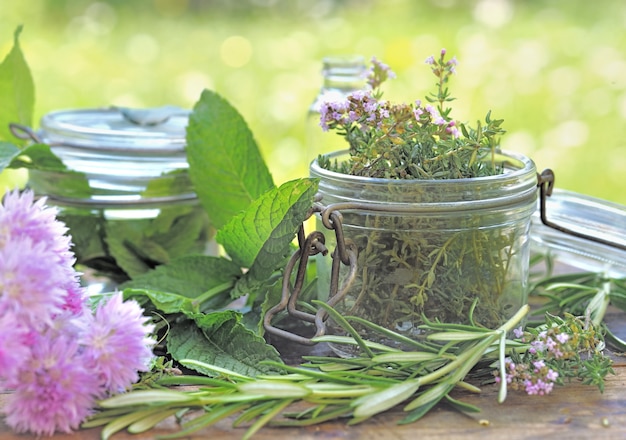 Zdjęcie Świeża aromatyczna roślina w szklanym słoju na stole w ogrodzie