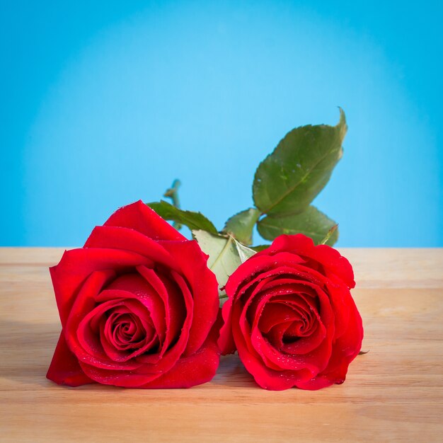 Świeża czerwieni róża na drewnianym biurku z błękitnym tłem