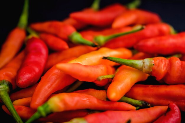 Świeża czerwona papryka chili