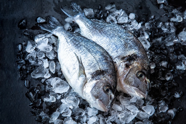 Świeża Dorado Ryba W Kawałkach Lód Na Ciemnym Tle