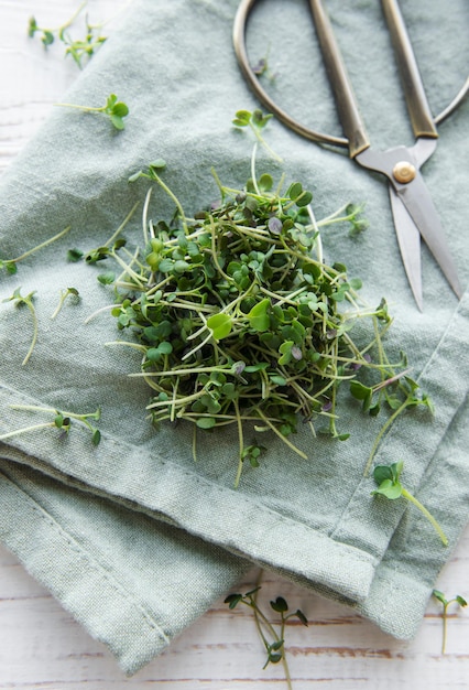 Świeża ekologiczna mikro-zielona na stole