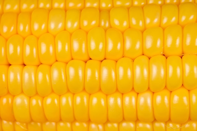 Zdjęcie Świeża kukurydza izolowana jako zbliżenie tekstury