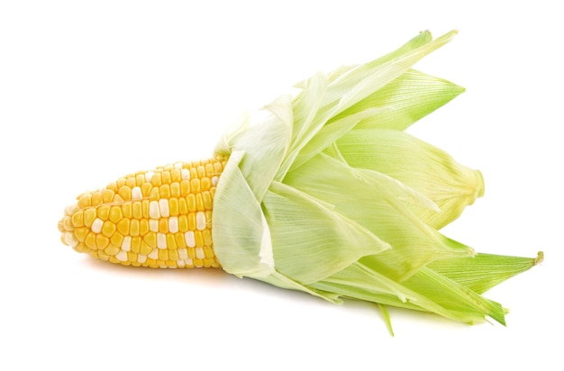 Świeża kukurydza na białym tle