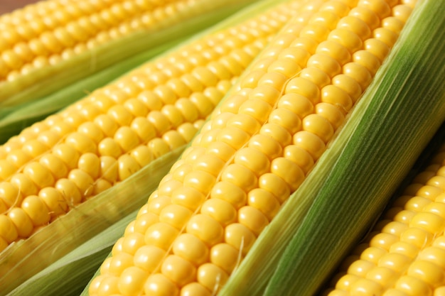 Świeża kukurydza zbliżenie na stole zbliżenie