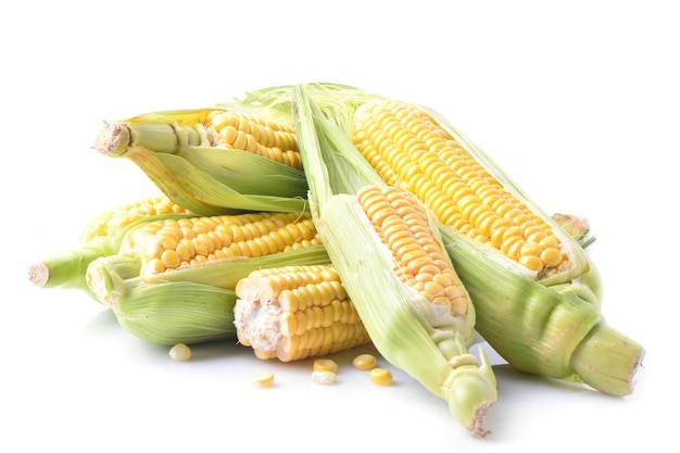 Świeża kukurydza