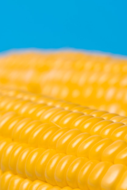 Zdjęcie Świeża organicznie kukurudza na błękitnym tle