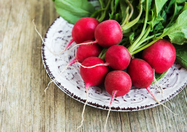 Świeża purpurowa rzodkiewka