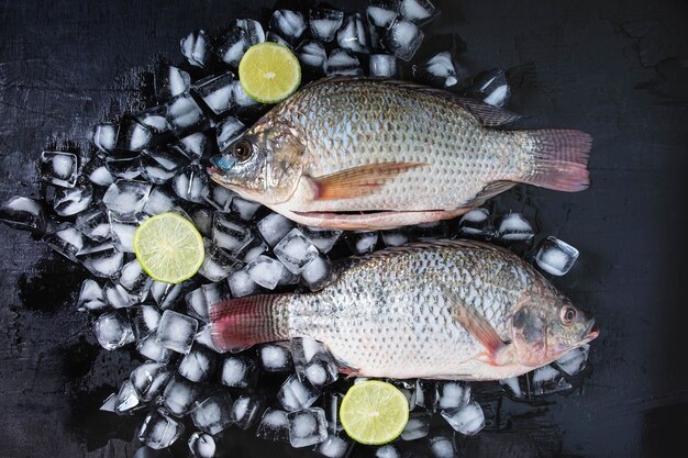 Świeża ryba tilapia na lodzie z cytryny pastą.