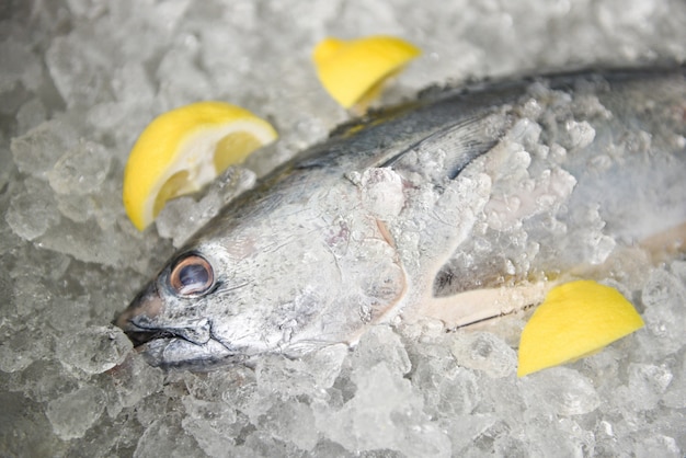 Świeża ryba z cytryną w rynku - Surowej ryba owoce morza na lodowego tła odgórnym widoku, Longtail tuńczyk, Wschodnia mała tuńczyk ryba