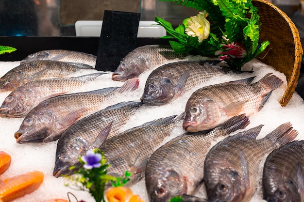 Świeża surowa ryba tilapia na lodzie w tacy na zakupy na ladzie Łowienie i sprzedaż ryb