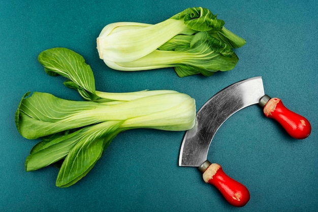 Świeże Bok Choy lub Pak Choi