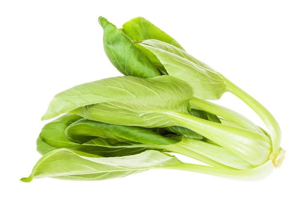 Świeże bok choy pak choi kapusta pekińska na białym tle