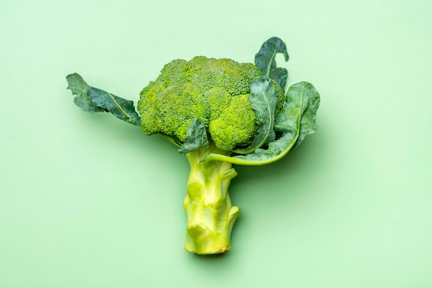 Świeże brokuły zebrane z kapusty na zielonym tle trendu. Warzywa witamina C Naturalne organiczne brokuły leży na zielonym stole Top View Flat Lay.