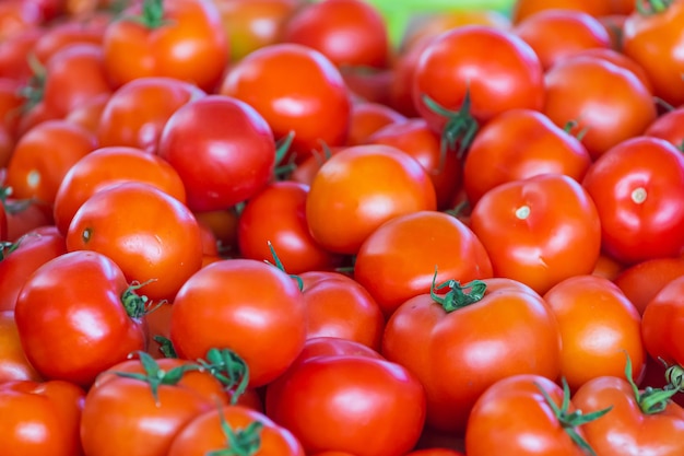 Świeże czerwone pomidory miękkie selektywne skupienie Tło z pomidorami