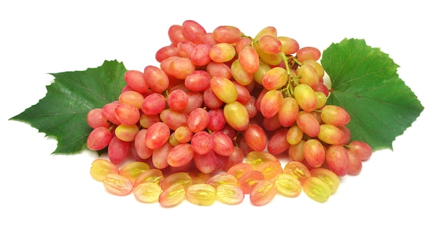 Świeże czerwone winogrona gałąź z liściem na białym tle Kreatywna koncepcja owoców Płaski widok z góry