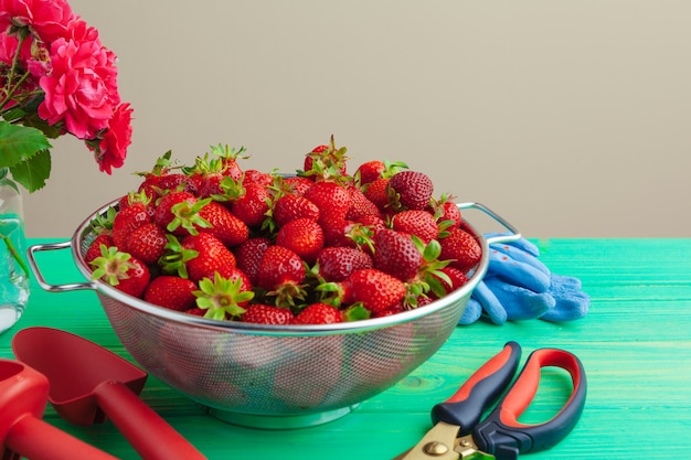 Zdjęcie Świeże dojrzałe czerwone truskawki na ogródu stole