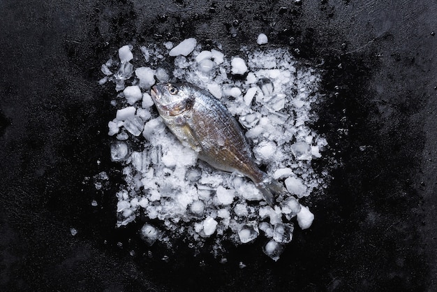 Świeże Dorado Na Czarnej Kamiennej Desce Do Krojenia Z Kawałkami Lodu. Widok Z Góry. Czarne Tło.