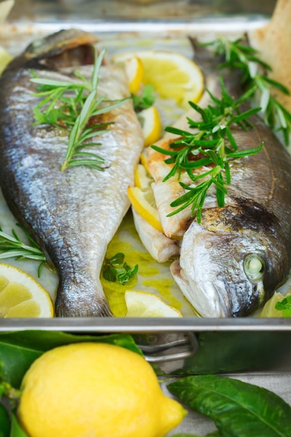 Świeże grillowane pieczone dorado morskie, ryba dorada z cytryną, rozmarynem, oregano, ziołami, oliwą z oliwek na kuchennym stole.