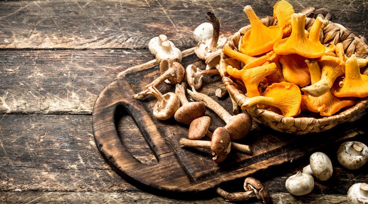 Zdjęcie świeże grzyby, agarics miód i kurki.