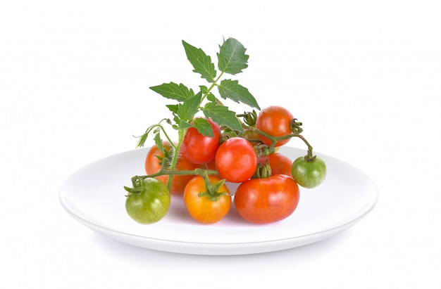 Świeże i dojrzałe pomidory na białym talerzu