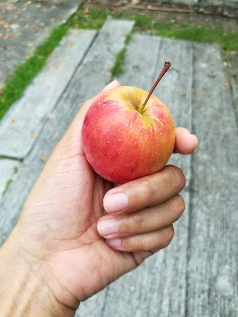 świeże jabłko w ręku