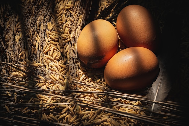 Zdjęcie Świeże jaja kurze i gniazdo na siano w kurniku.