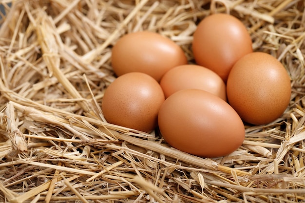Świeże jajka są gotowe na śniadanie w gospodarstwie