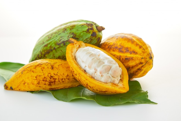 Świeże kakaowe owoc z zielonym liściem na białym tle