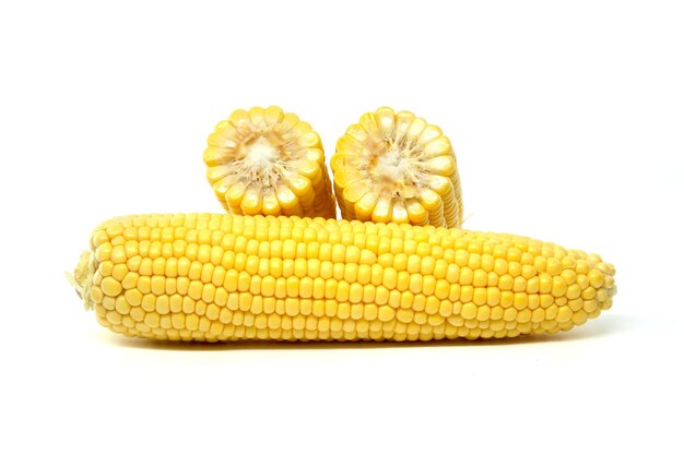 Świeże kolby kukurydzy na białym tle przedstawiające naturalne produkty rolnicze