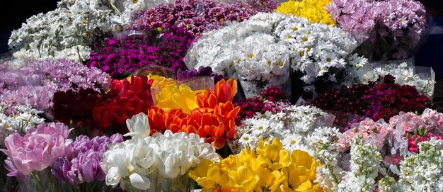 Świeże kolorowe kwiaty umieszczone w wazonach