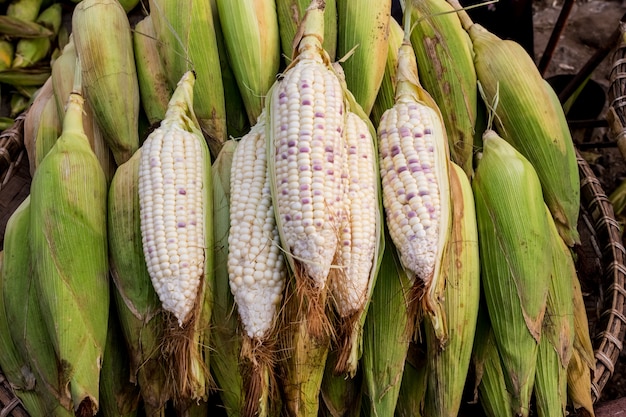 Świeże kukurydzane sterty w koszu