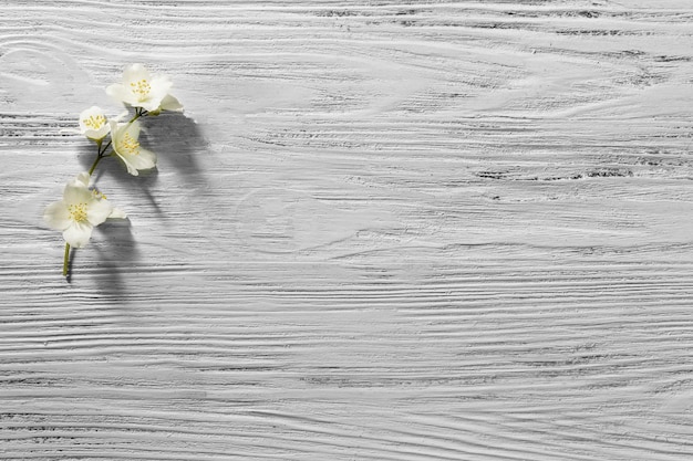 Zdjęcie Świeże kwiaty jaśminu na podłoże drewniane