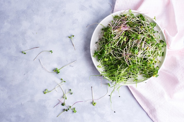 Świeże Microgreens Na Białym Talerzu Z Serwetką, Flat Lay, Close Up.