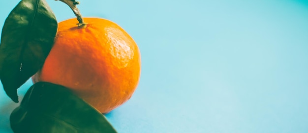 Świeże naturalne soczyste mandarynki deser owocowy klementynki dla zdrowego odżywiania dieta organiczna żywność ogrodowa mandarynka w stylu vintage dla rolnictwa marki design