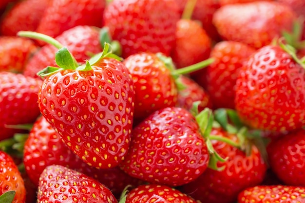 Świeże organiczne czerwone dojrzałe owoce truskawki zbliżenie tła