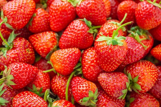 Świeże organiczne czerwone dojrzałe owoce truskawki zbliżenie tła