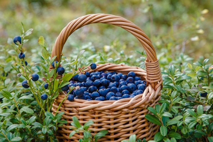 Zdjęcie świeże organiczne jagody w koszu