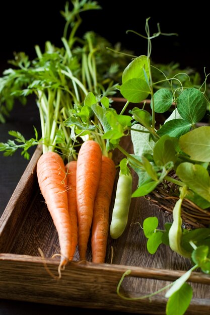 Zdjęcie Świeże organiczne marchewki i zielony groszek