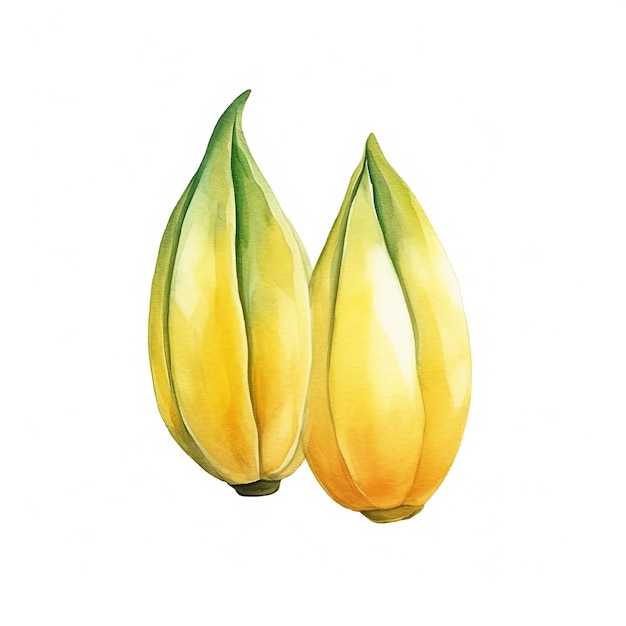Świeże organiczne owoce jackfruit kwadratowe ilustracja akwarelowa
