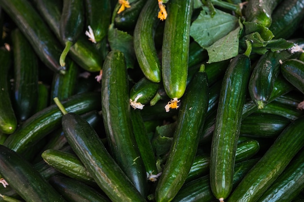 Świeże organiczne zielone ogórki na rynku świeżych, tło.