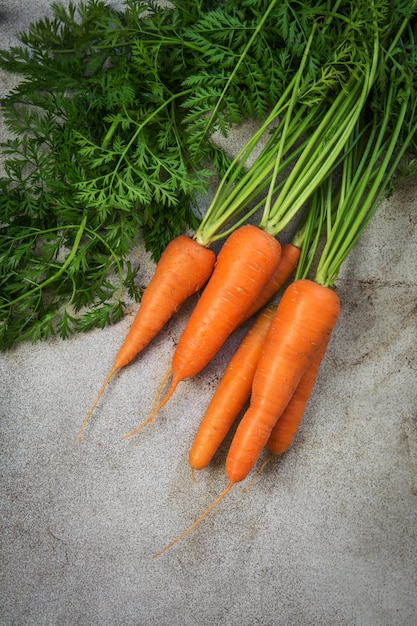 Świeże organicznie marchewki z zielonymi wierzchołkami na wieśniaka stole.