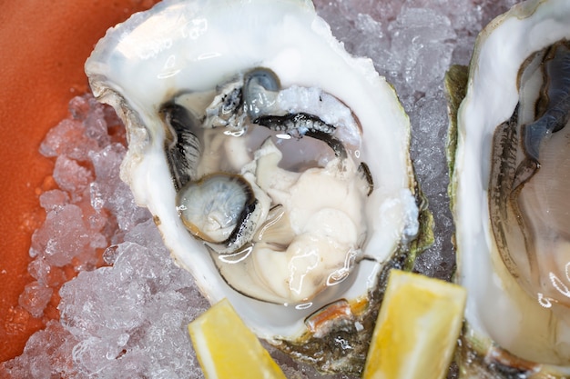 Świeże ostrygi w misce z lodową cytryną i sosem ze skorupiaków w restauracji luksusowy zdrowy obiad