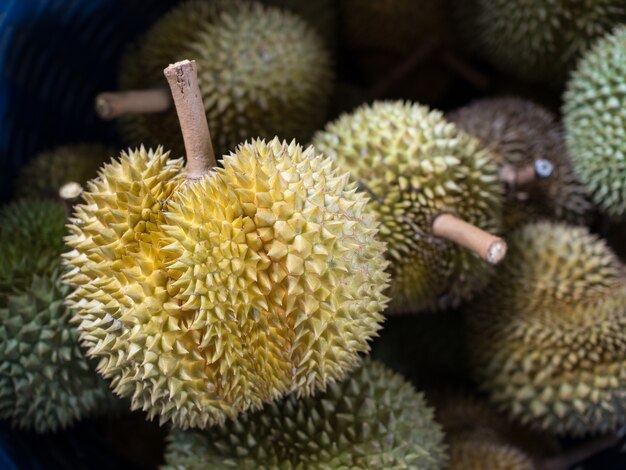 Świeże Owoce Durian W Ogrodzie, Owoce Tropikalne W Tajlandii