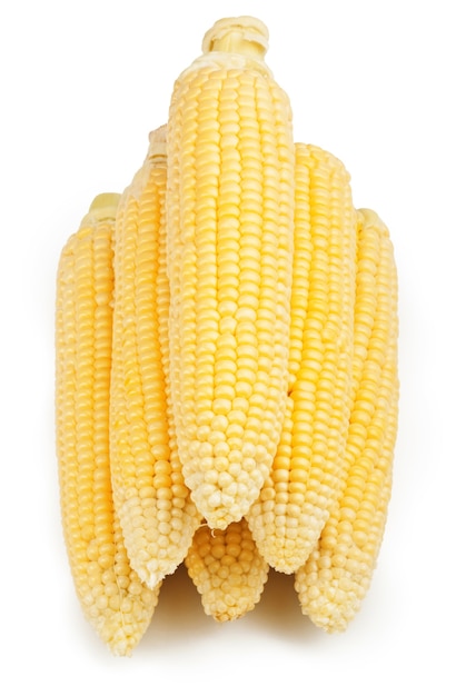 Świeże owoce kukurydzy na białej powierzchni