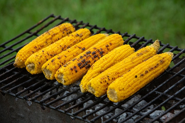 Świeże pieczone lub grillowane kolby kukurydzy.