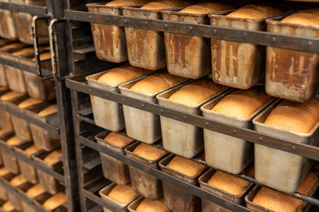 Zdjęcie Świeże pieczywo na ruchomym stojaku z półkami chleb schładza się po upieczeniu w metalowych pojemnikach