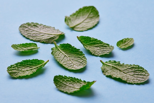 Świeże płatki aromatycznej mięty z kroplami rosy na niebieskim tle. Naturalne tło