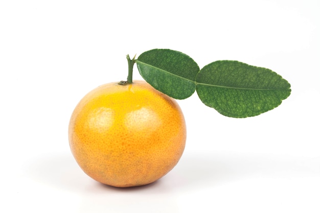 Świeże pomarańcze z tropikalnej strefy, słodkie owoce