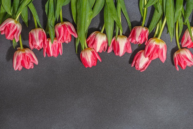 Świeże różowe tulipany na ciemnym kamiennym tle betonowym Uroczystość na Dzień Matki lub Dzień Walentynek Kartka powitawkowa Wielkanoc płaska rocznica lub urodziny widok z góry